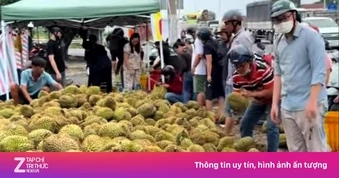 Mua sầu riêng non 'giải cứu' ven đường, người tiêu dùng lãnh đủ