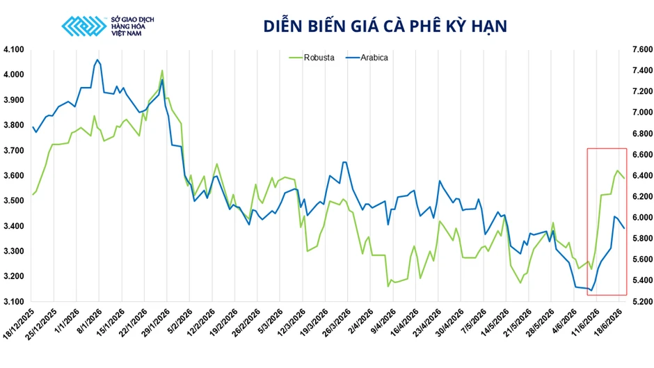 MXV-Index đánh mất gần 2%, lùi về vùng thấp nhất kể từ cuối tháng 2 MXV-Index đánh mất gần 2%, lùi về vùng thấp nhất kể từ cuối tháng 2