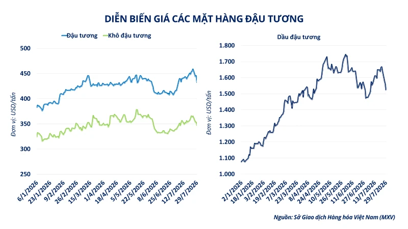MXV-Index đảo chiều sau nhịp điều chỉnh, năng lượng dẫn dắt đà tăng MXV-Index đảo chiều sau nhịp điều chỉnh, năng lượng dẫn dắt đà tăng