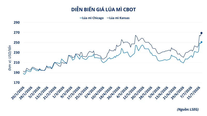 MXV-Index thiết lập vùng giá 2.700 điểm, thị trường dầu thô là "điểm nóng" MXV-Index thiết lập vùng giá 2.700 điểm, thị trường dầu thô là "điểm nóng"