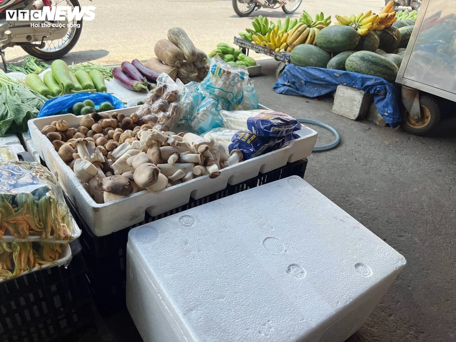 Nấm trôi nổi bủa vây chợ dân sinh TP.HCM: Người mua đang ‘đánh cược’ Nấm trôi nổi bủa vây chợ dân sinh TP.HCM: Người mua đang ‘đánh cược’