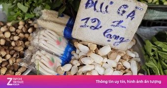 Nấm trôi nổi bủa vây chợ dân sinh TP.HCM: Người mua đang ‘đánh cược’
