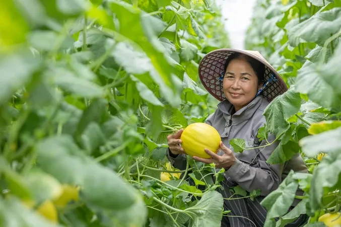 Nâng cao năng lực số, mở rộng cơ hội cho doanh nghiệp do phụ nữ làm chủ Nâng cao năng lực số, mở rộng cơ hội cho doanh nghiệp do phụ nữ làm chủ