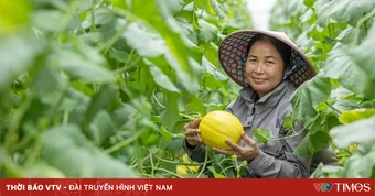 Nâng cao năng lực số, mở rộng cơ hội cho doanh nghiệp do phụ nữ làm chủ