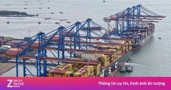 Năng lực hãng vận tải container lớn nhất thế giới làm cảng Cần Giờ