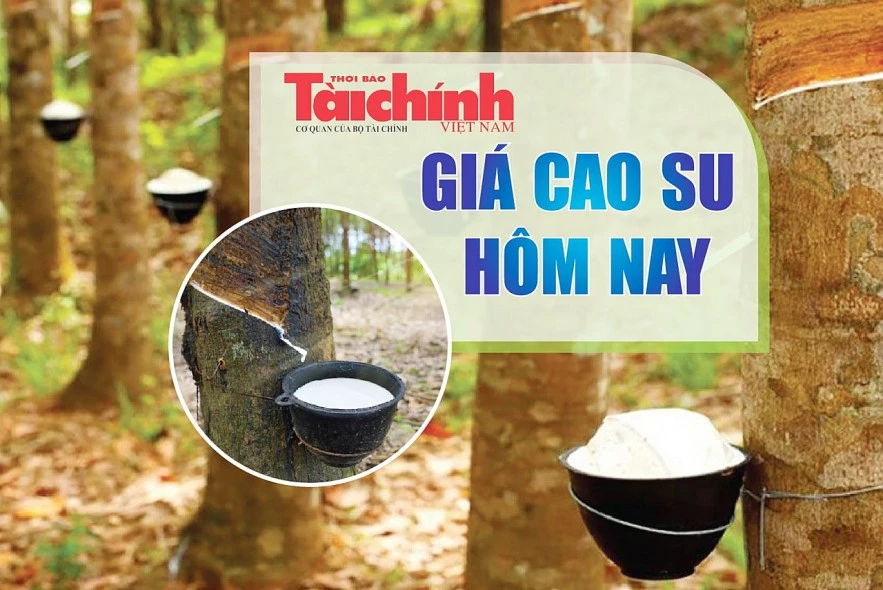 Ngày 15/3: Giá cao su Nhật Bản, Trung Quốc và Singapore đồng loạt giảm Ngày 15/3: Giá cao su Nhật Bản, Trung Quốc và Singapore đồng loạt giảm
