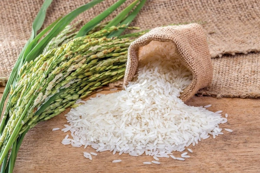 Ngày 17/3: Giá lúa tại Đồng bằng sông Cửu Long đi ngang, gạo xuất khẩu có xu hướng giảm Ngày 17/3: Giá lúa tại Đồng bằng sông Cửu Long đi ngang, gạo xuất khẩu có xu hướng giảm