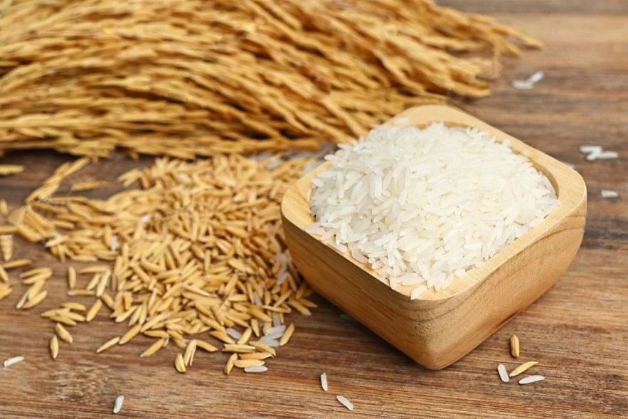 Ngày 18/3: Giá lúa gạo tại Đồng bằng sông Cửu Long "bình lặng", giao dịch mua bán yếu Ngày 18/3: Giá lúa gạo tại Đồng bằng sông Cửu Long "bình lặng", giao dịch mua bán yếu