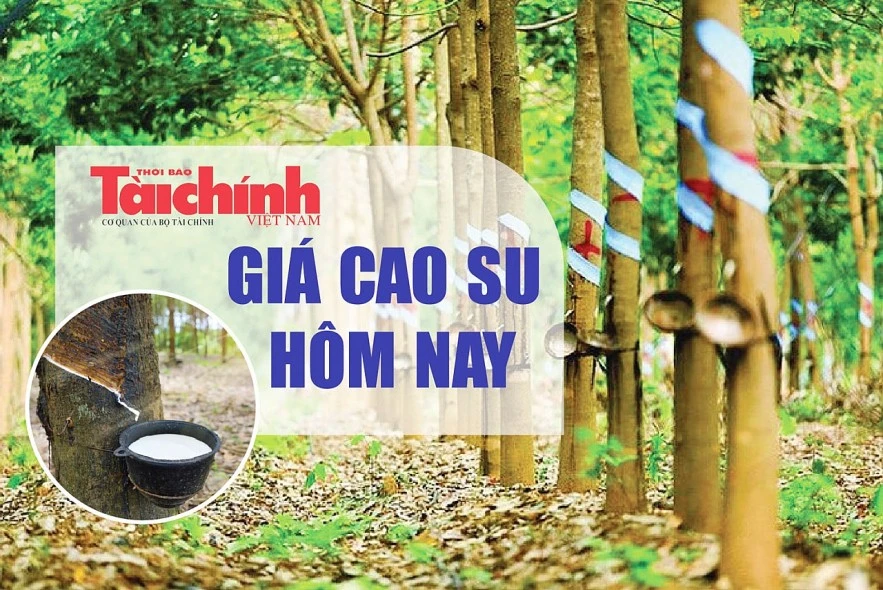 Ngày 20/3: Giá cao su thế giới giảm trên diện rộng, trong nước bình ổn Ngày 20/3: Giá cao su thế giới giảm trên diện rộng, trong nước bình ổn