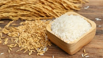 Ngày 21/3: Giá lúa gạo tại Đồng bằng sông Cửu Long giao dịch chậm, ít biến động