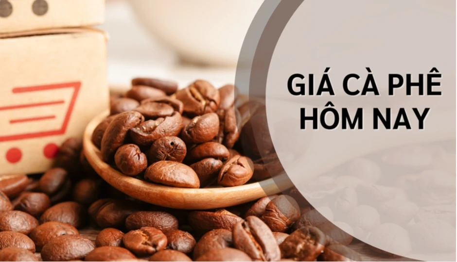 Ngày 24/3: Giá cà phê tiếp tục duy trì mặt bằng cao, hồ tiêu ở vùng thấp Ngày 24/3: Giá cà phê tiếp tục duy trì mặt bằng cao, hồ tiêu ở vùng thấp