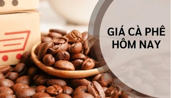 Ngày 24/3: Giá cà phê tiếp tục duy trì mặt bằng cao, hồ tiêu ở vùng thấp