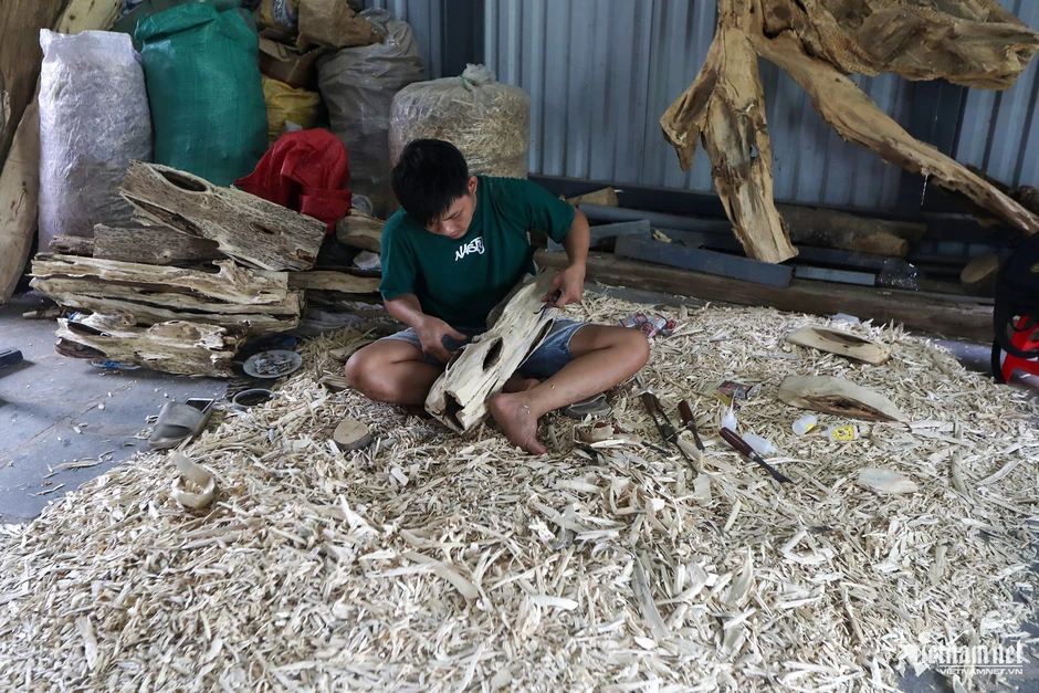 Nghề tinh tường soi ra tiền triệu từ gỗ dó bầu trồng tại vườn Nghề tinh tường soi ra tiền triệu từ gỗ dó bầu trồng tại vườn
