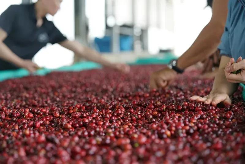 Ngoại giao kinh tế mở rộng không gian xuất khẩu