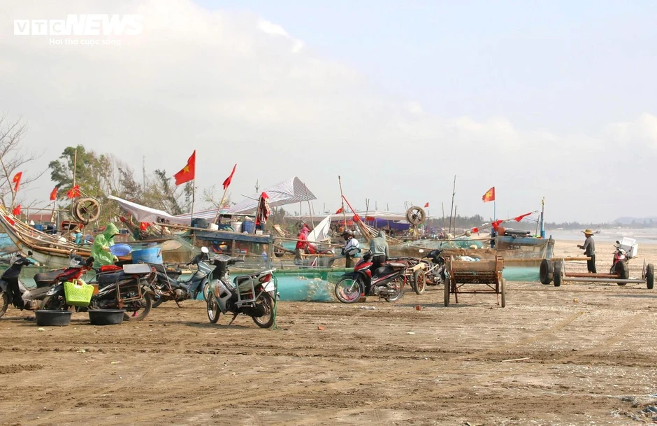 Ngư dân Nghệ An trúng 'lộc biển', mỗi ngày thu tiền triệu Ngư dân Nghệ An trúng 'lộc biển', mỗi ngày thu tiền triệu