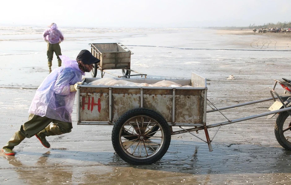 Ngư dân Nghệ An trúng 'lộc biển', mỗi ngày thu tiền triệu Ngư dân Nghệ An trúng 'lộc biển', mỗi ngày thu tiền triệu
