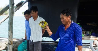 Người dân đảo Hải Tặc 'phất lên' nhờ nuôi cá lồng bè trên biển