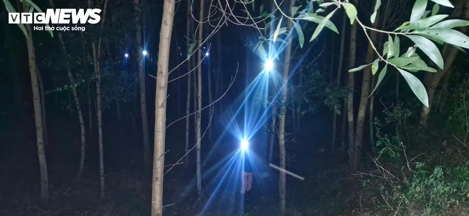 Người TP Huế đêm khuya vào rừng săn 'lộc trời' thu bạc triệu mỗi ngày Người TP Huế đêm khuya vào rừng săn 'lộc trời' thu bạc triệu mỗi ngày