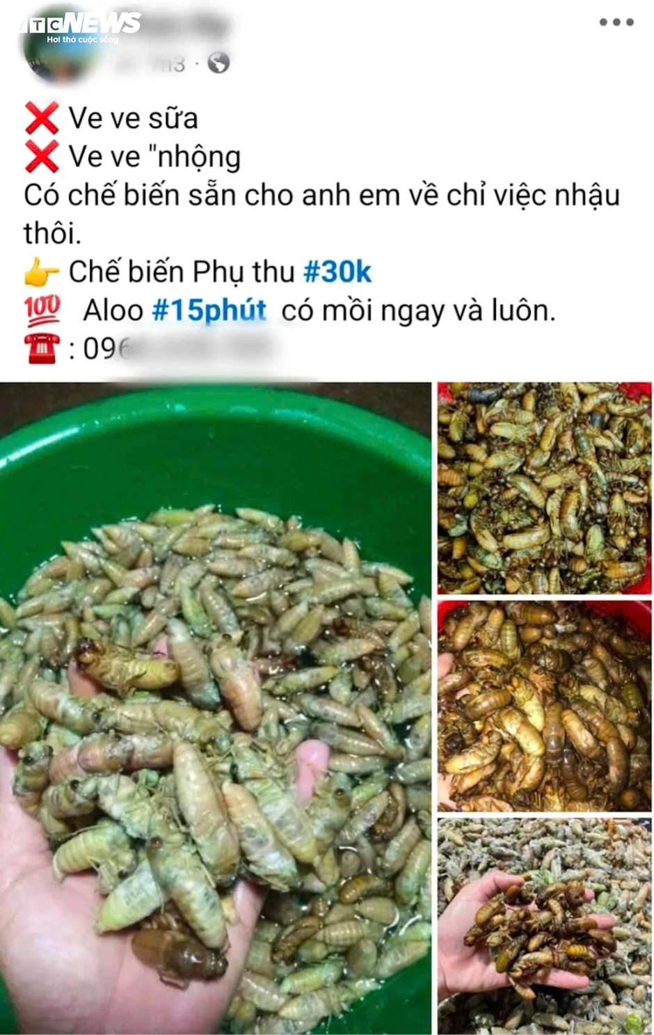 Người TP Huế đêm khuya vào rừng săn 'lộc trời' thu bạc triệu mỗi ngày Người TP Huế đêm khuya vào rừng săn 'lộc trời' thu bạc triệu mỗi ngày