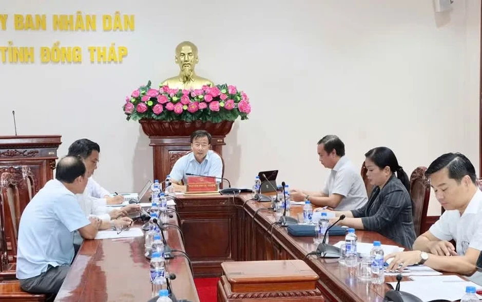 Nguyên nhân giá sầu riêng 'rẻ như bèo' Nguyên nhân giá sầu riêng 'rẻ như bèo'