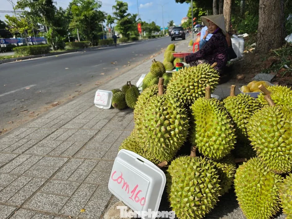 Nguyên nhân giá sầu riêng 'rẻ như bèo' Nguyên nhân giá sầu riêng 'rẻ như bèo'