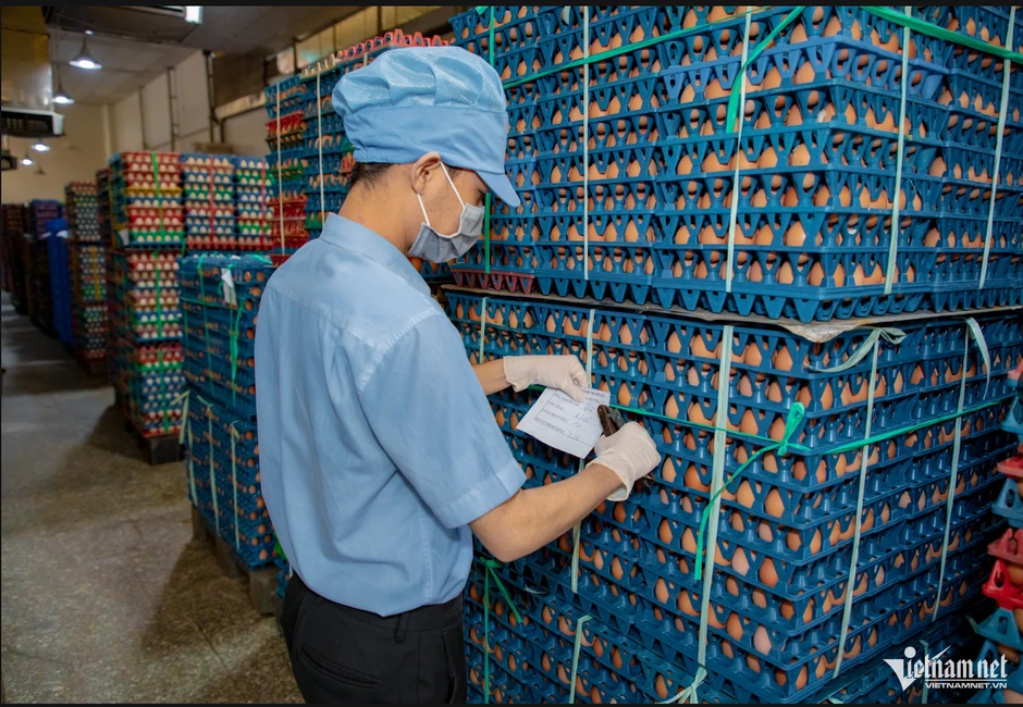 Nhờ bánh Trung thu, giá trứng gà thoát đáy Nhờ bánh Trung thu, giá trứng gà thoát đáy