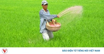 Nỗi lo của nông dân từ những bao phân bón mới