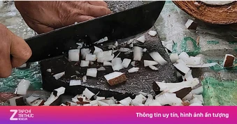 Nông dân miền Tây dùng nguyên liệu bất ngờ để vỗ béo tôm càng xanh