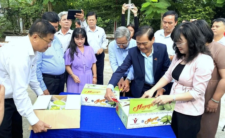 Nông sản đồng bằng sông Cửu Long trước sức ép phòng vệ thương mại Nông sản đồng bằng sông Cửu Long trước sức ép phòng vệ thương mại