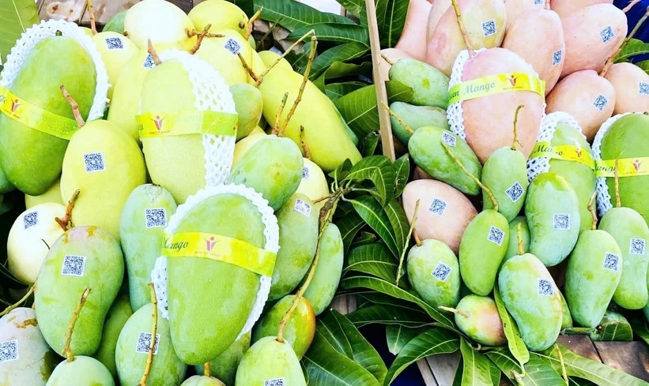 Nông sản đồng bằng sông Cửu Long trước sức ép phòng vệ thương mại Nông sản đồng bằng sông Cửu Long trước sức ép phòng vệ thương mại