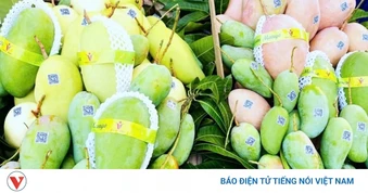 Nông sản đồng bằng sông Cửu Long trước sức ép phòng vệ thương mại