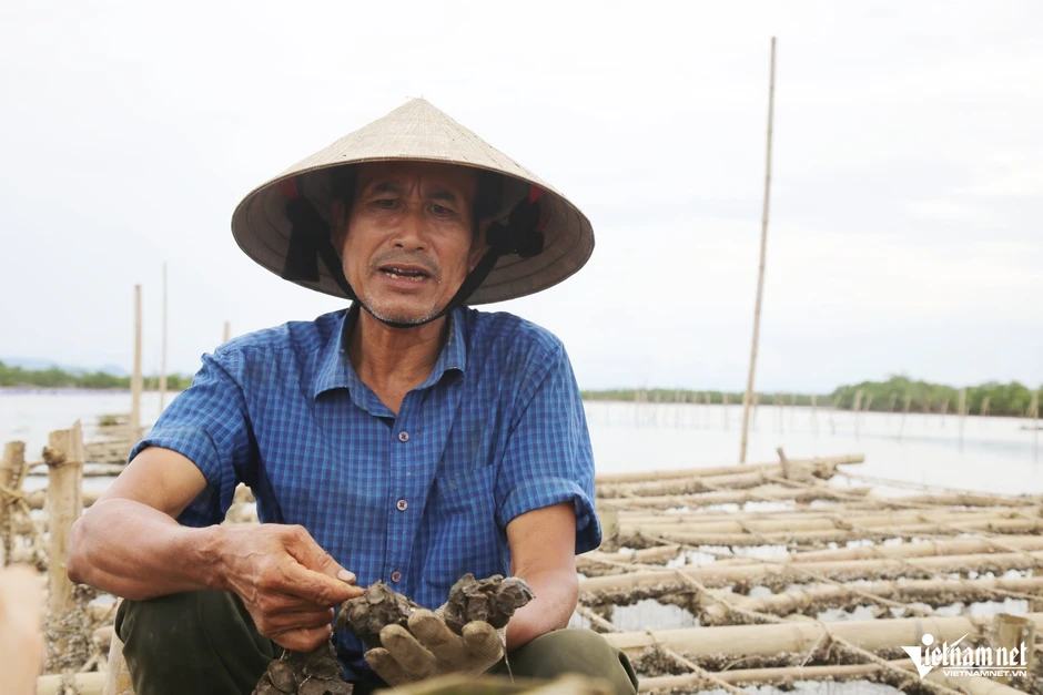 Nuôi loài không phải cho ăn, nông dân ven sông Rào Cái thu tiền tỷ