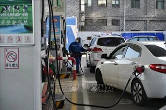 OPEC hạ dự báo tăng trưởng nhu cầu dầu mỏ thế giới năm 2026