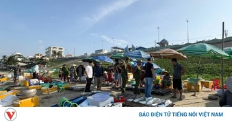 Phát hiện 3 vựa chuyên bán tôm hùm kém chất lượng tại làng chài Mũi Né