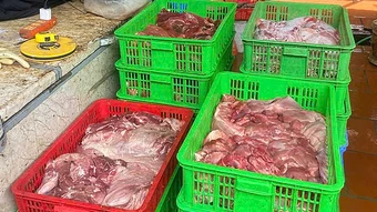 Phát hiện cơ sở kinh doanh thịt heo mắc bệnh dịch tả châu Phi