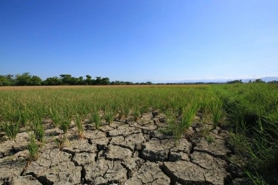 Philippines tiếp tục nhập khẩu gạo vì lo ngại El Niño Philippines tiếp tục nhập khẩu gạo vì lo ngại El Niño