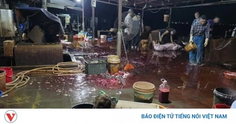 Quảng Ninh chấm dứt hoạt động các cơ sở giết mổ nhỏ lẻ trước ngày 31/10/2026