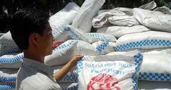 Rà soát doanh nghiệp xuất khẩu đường mía vào Việt Nam