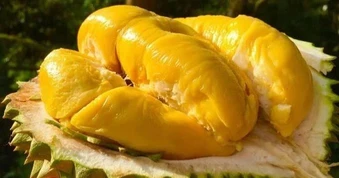 Rau quả Việt vượt mốc 1 tỷ USD/tháng, hàng chế biến hút khách EU