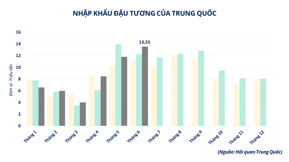 Sắc xanh bao phủ thị trường hàng hóa, MXV-Index tăng 60 điểm Sắc xanh bao phủ thị trường hàng hóa, MXV-Index tăng 60 điểm