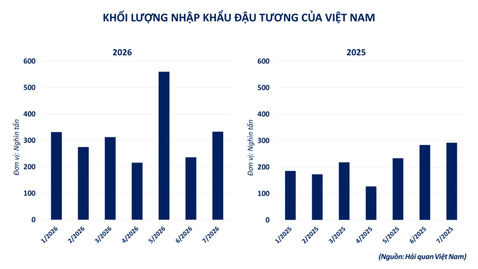 Sắc xanh bao phủ thị trường hàng hóa, MXV-Index tăng 60 điểm Sắc xanh bao phủ thị trường hàng hóa, MXV-Index tăng 60 điểm