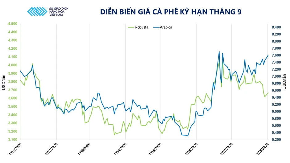 Sắc xanh bao phủ thị trường hàng hóa, MXV-Index tăng 60 điểm Sắc xanh bao phủ thị trường hàng hóa, MXV-Index tăng 60 điểm