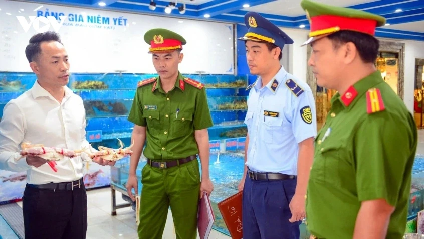 Sầm Sơn, Thanh Hoá: Siết kỷ cương thương mại bằng cân đối chứng công cộng Sầm Sơn, Thanh Hoá: Siết kỷ cương thương mại bằng cân đối chứng công cộng