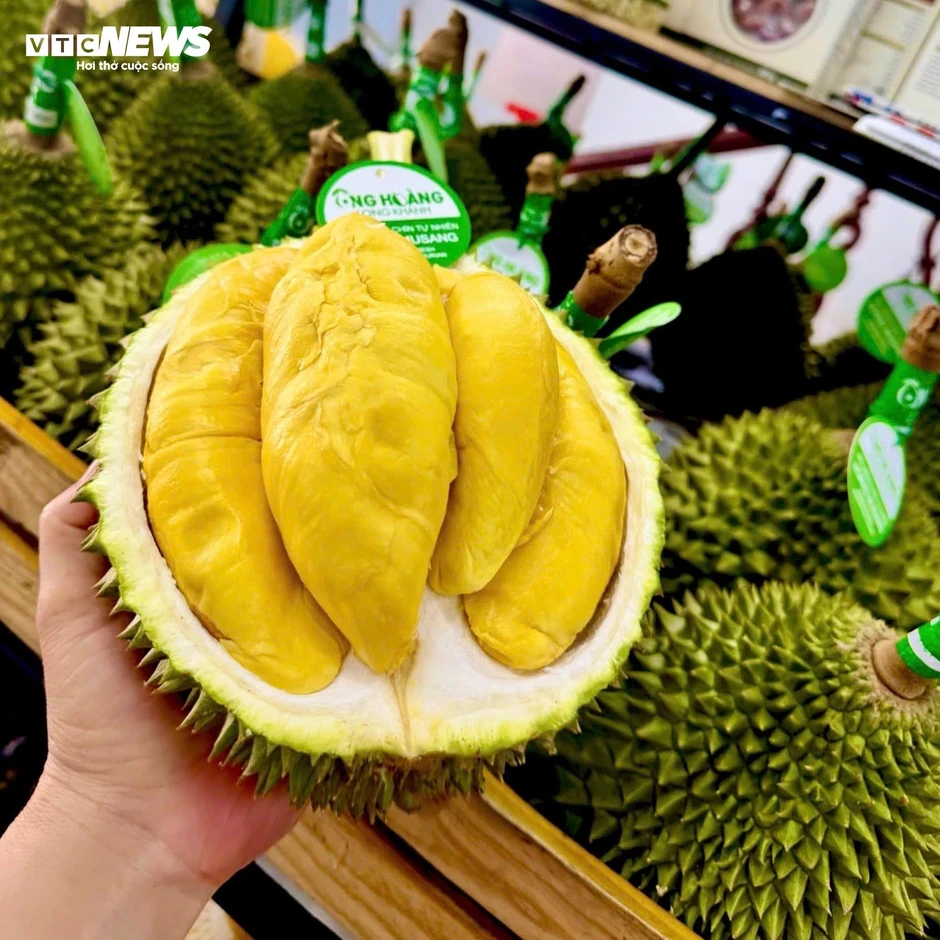 Sầu riêng 50.000 đồng/kg vẫn khó bán, loại nửa triệu/kg lại cháy hàng Sầu riêng 50.000 đồng/kg vẫn khó bán, loại nửa triệu/kg lại cháy hàng