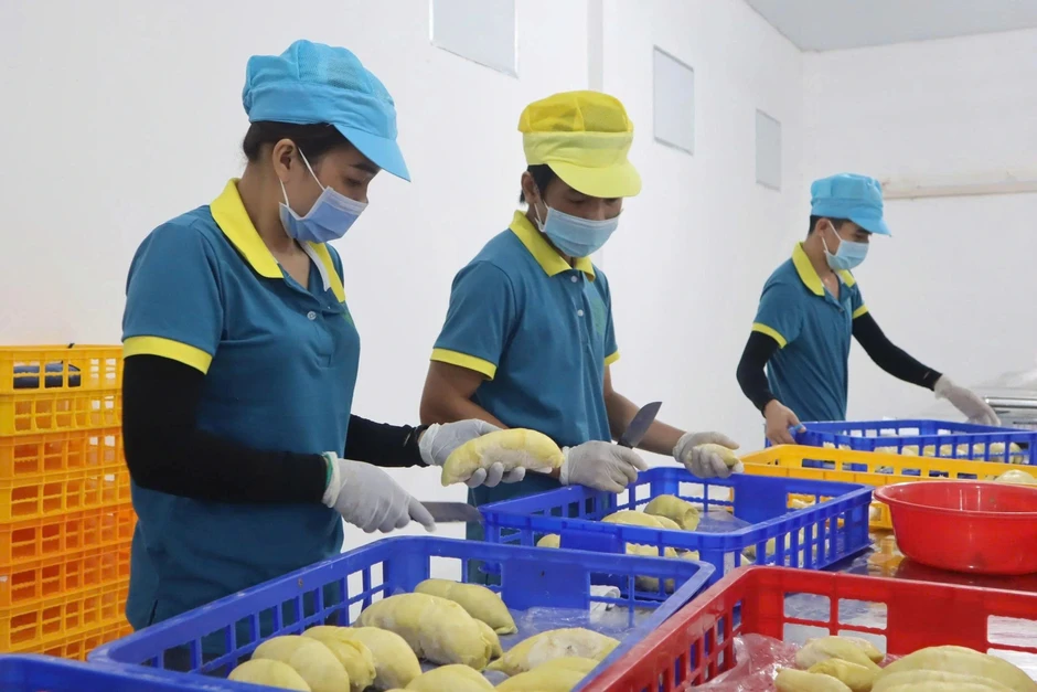 Sầu riêng chín đầy vườn nhưng không xuất khẩu được, nông dân lo lắng Sầu riêng chín đầy vườn nhưng không xuất khẩu được, nông dân lo lắng