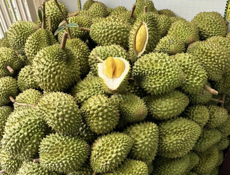 Sầu riêng Đắk Lắk trước cơ hội tỷ USD: Làm lớn phải tính đường dài Sầu riêng Đắk Lắk trước cơ hội tỷ USD: Làm lớn phải tính đường dài