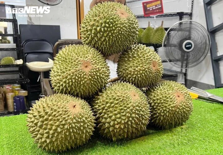 Sầu riêng gai đen tiền triệu mỗi trái vẫn ‘cháy hàng’ Sầu riêng gai đen tiền triệu mỗi trái vẫn ‘cháy hàng’