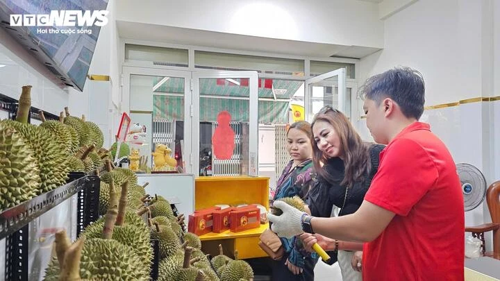 Sầu riêng gai đen tiền triệu mỗi trái vẫn ‘cháy hàng’ Sầu riêng gai đen tiền triệu mỗi trái vẫn ‘cháy hàng’