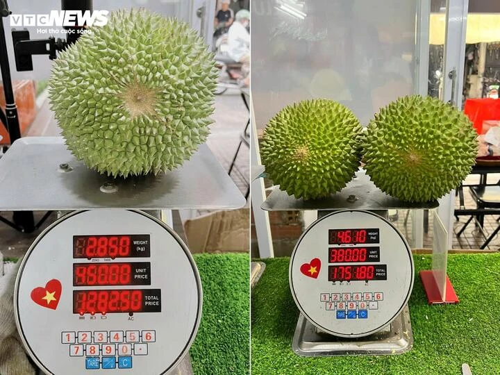 Sầu riêng gai đen tiền triệu mỗi trái vẫn ‘cháy hàng’ Sầu riêng gai đen tiền triệu mỗi trái vẫn ‘cháy hàng’