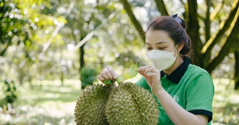 Sầu riêng hút khách Trung Quốc, rau quả Việt 3 tháng liền vượt 1 tỷ USD